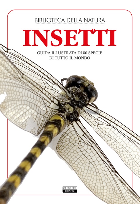 Insetti