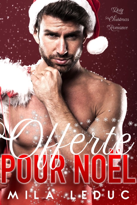 Offerte pour Noël // Dirty Christmas Romance