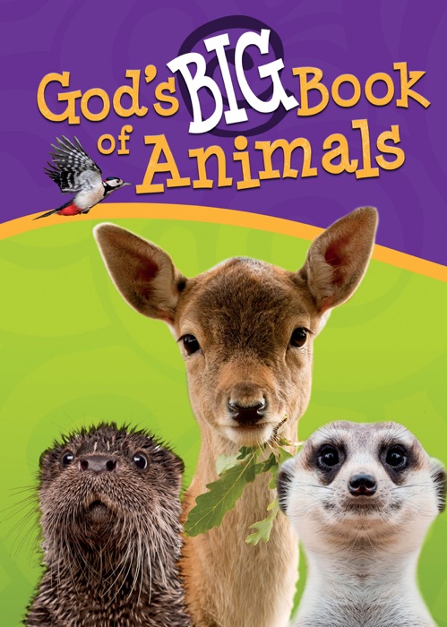 God's Big Book of Animals