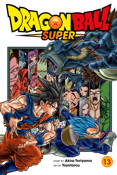 Dragon Ball Super, Vol. 13