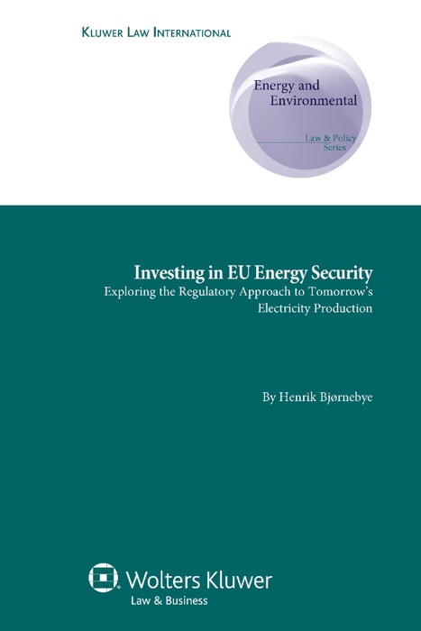 Investing in EU Energy Security