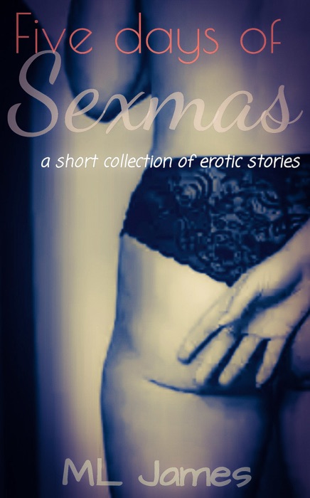 Five Days of Sexmas: A Short Erotica Collection
