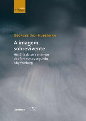 Capa do livro A Imagem Sobrevivente de Georges Didi-Huberman