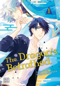 The Dragon's Betrothed, Vol. 1 - Meguru Hinohara