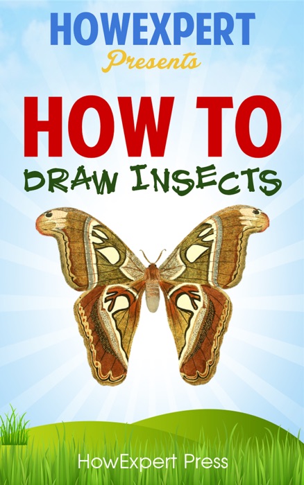 How To Draw Insects