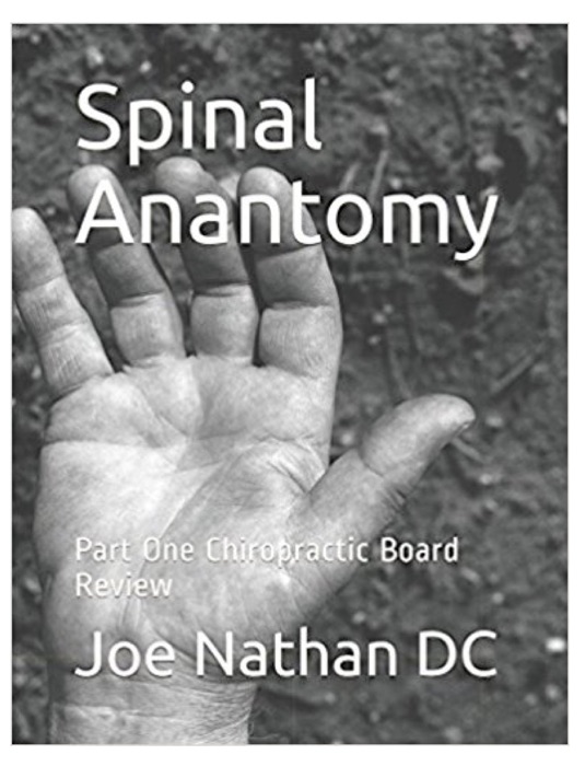 Spinal Anaomy