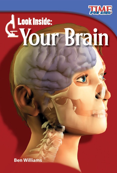 Look Inside: Your Brain