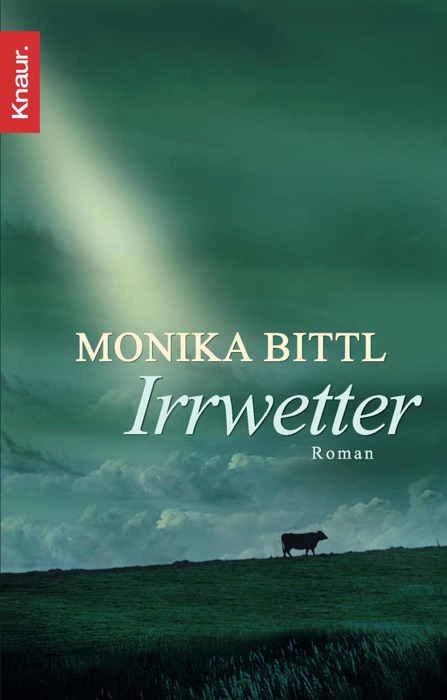 Irrwetter