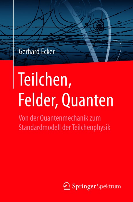 Teilchen, Felder, Quanten