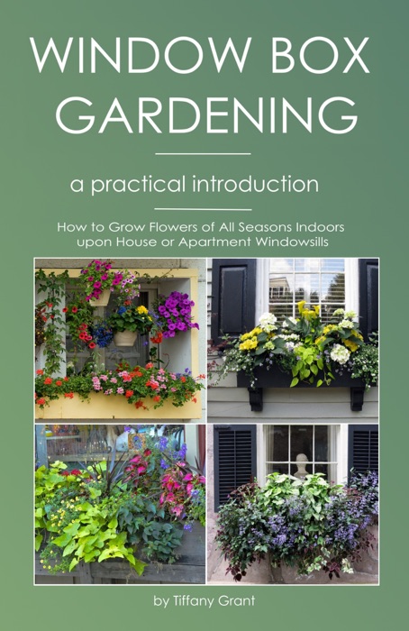 Window Box Gardening - A Practical Introduction