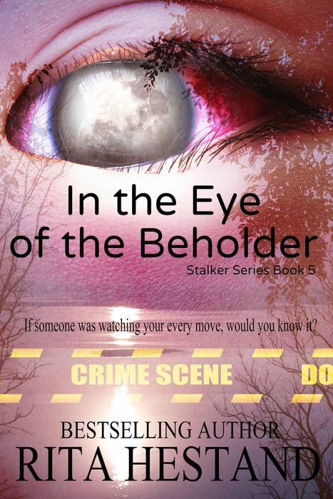 In the Eye of the Beholder (Book 5 of the Stalker Series)