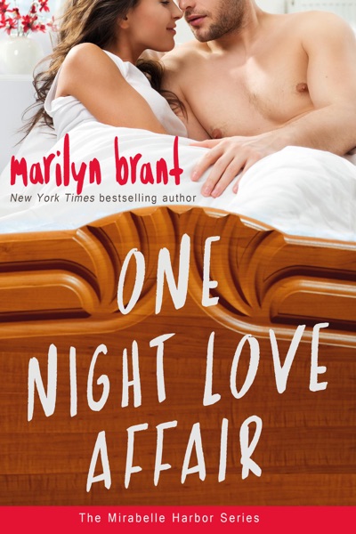 One Night Love Affair