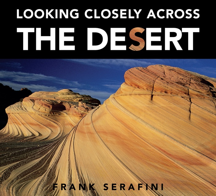 Looking Closely across the Desert