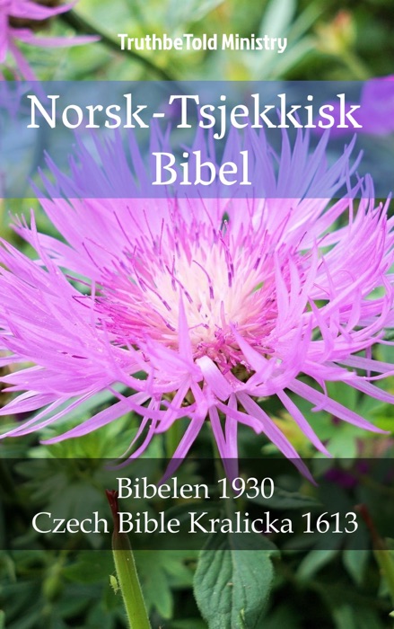 Norsk-Tsjekkisk Bibel