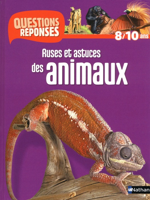 Ruses et astuces des animaux - Questions/Réponses - doc dès 10 ans