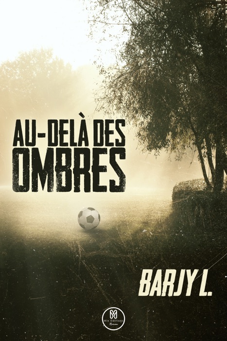 Au-delà des ombres