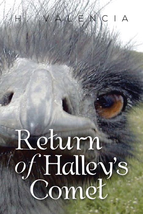 Return of Halley’S Comet