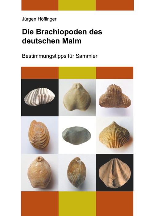 Die Brachiopoden des deutschen Malm