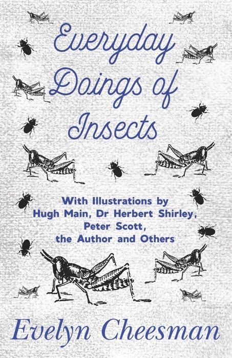 Everyday Doings of Insects - With Illustrations by Hugh Main, Dr Herbert Shirley, Peter Scott, the Author and Others