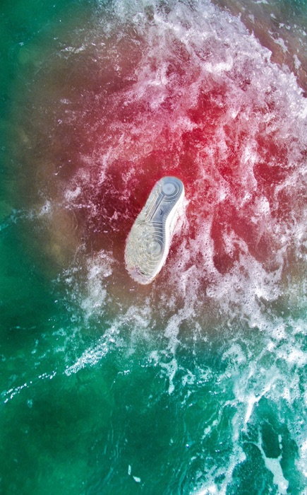Blood in the Water