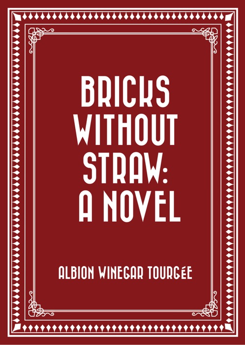 Bricks Without Straw: A Novel