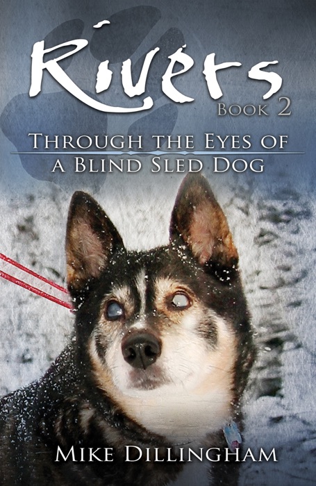 Rivers: Through the Eyes of a Blind Dog