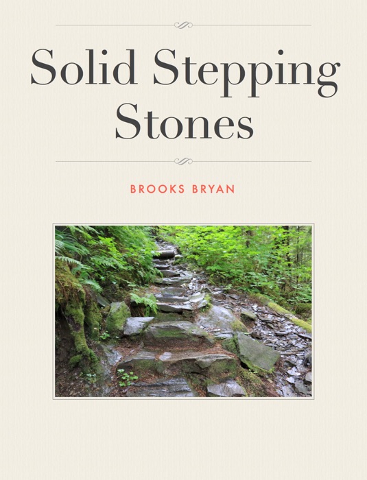 Solid Stepping Stones