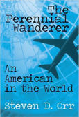 An American in the World - Steven D. Orr