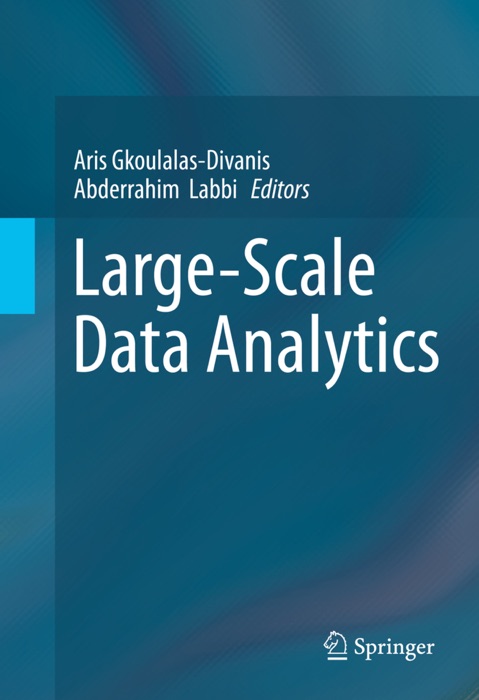 Large-Scale Data Analytics