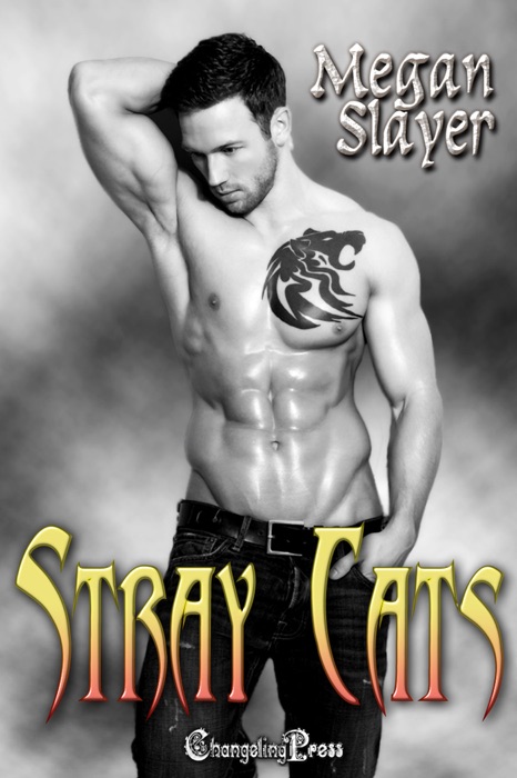 Stray Cats Box Set (Second Edition)