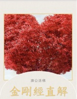 金剛經直解