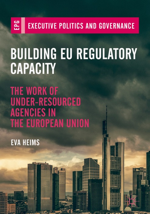 Building EU Regulatory Capacity