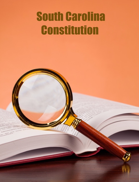 South Carolina constitution