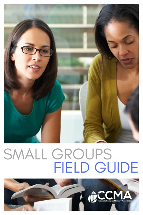 Small Groups Field Guide