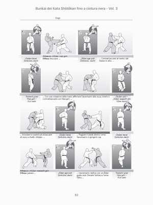 vendita calda Acquista elegante Bunkai dei Kata Shôtôkan fino a cintura nera en Apple Books vendita calda Acquista elegante Bunkai dei Kata Shôtôkan fino a cintura nera en Apple Books