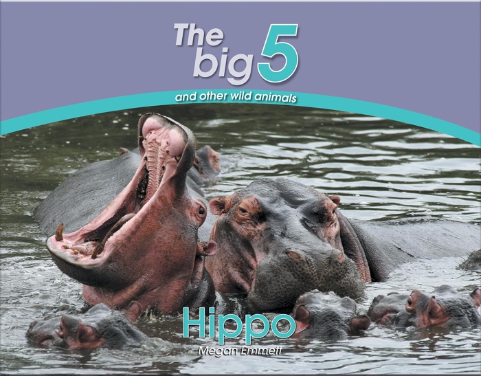 Hippo