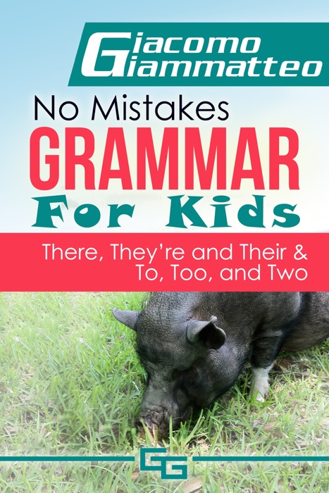 No Mistakes Grammar for Kids, Volume V, 