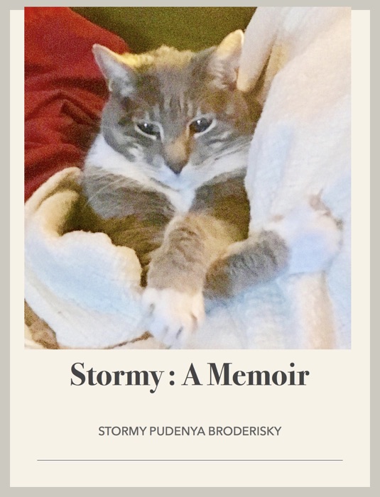 Stormy : A Memoir