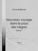 Anne Raffenel & Ligaran - Nouveau voyage dans le pays des nègres artwork