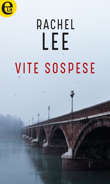 Vite sospese (eLit)