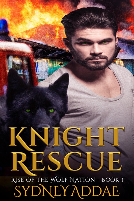 Knight Rescue