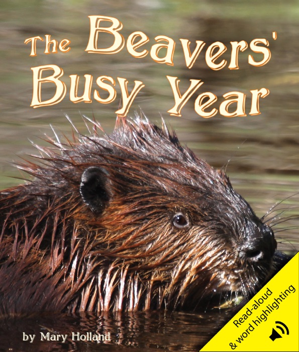 Beavers' Busy Year, The