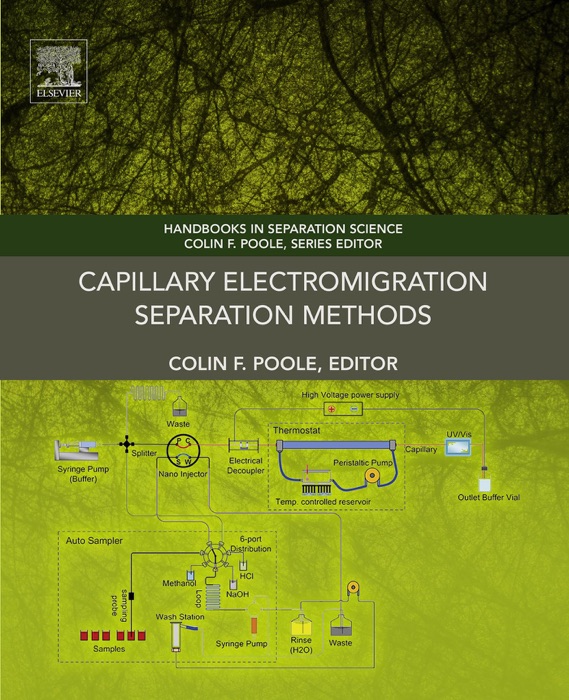 Capillary Electromigration Separation Methods