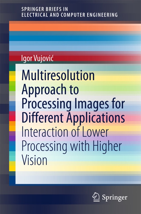 Multiresolution Approach to Processing Images for Different Applications