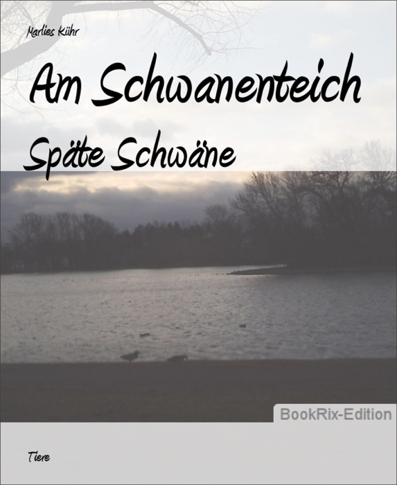 Am Schwanenteich