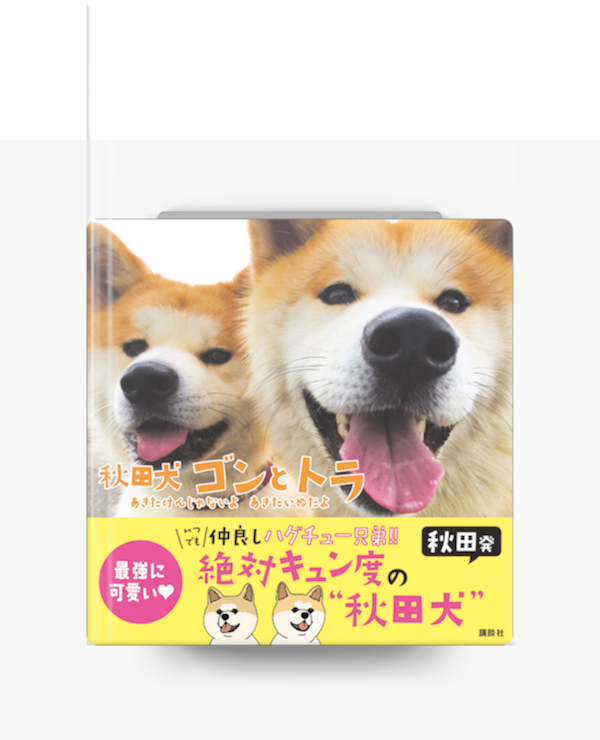 Apple Booksで秋田犬 ゴンとトラ あきたけんじゃないよ あきたいぬだよを読む