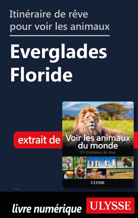 Itinéraire de rêve pour voir les animaux Everglades Floride