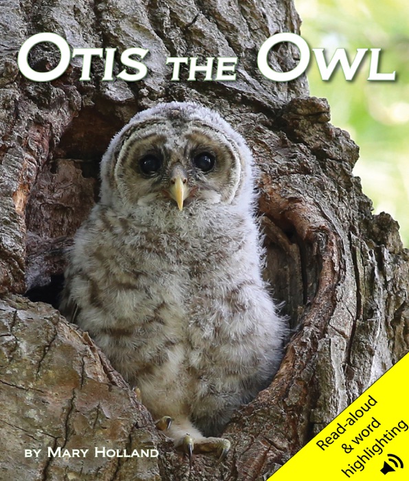 Otis the Owl
