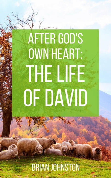 After God's Own Heart : The Life of David