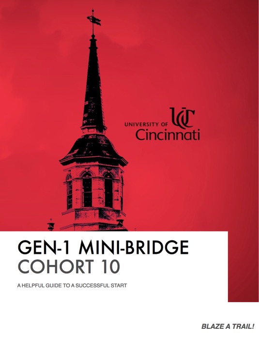 Gen-1 Mini-bridge